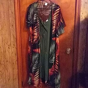 A vibrant earthtone cover